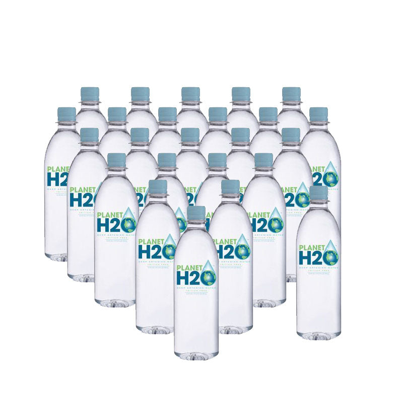 Planet H2O is Premium Natural Artesian Water - Case of 500ML Bottles